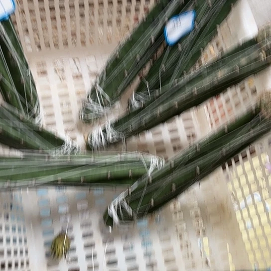 柠****千同德雷奥 嫁接柱子
