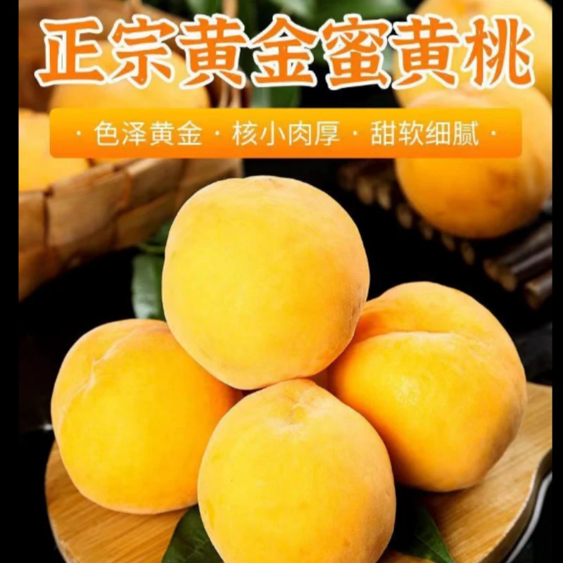 果园精选沂蒙山黄金油桃老人孩子孕妇放心食用4.5斤左右一件包邮