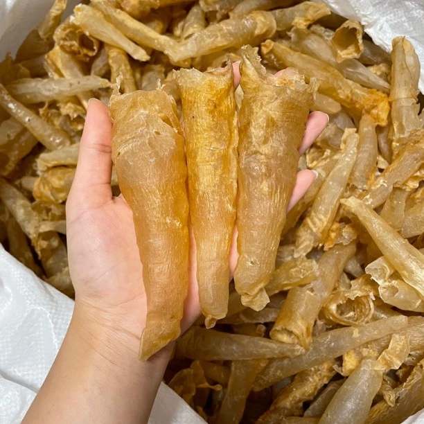 缅60-80头深海黄花胶筒花胶干货批发日常煲汤滋补