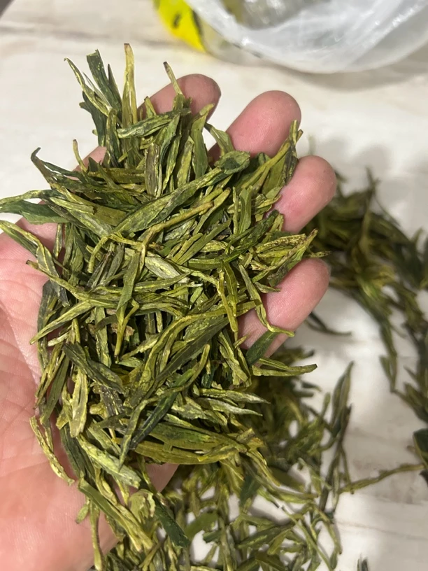2024春茶龙井茶香浓醇厚滋味足