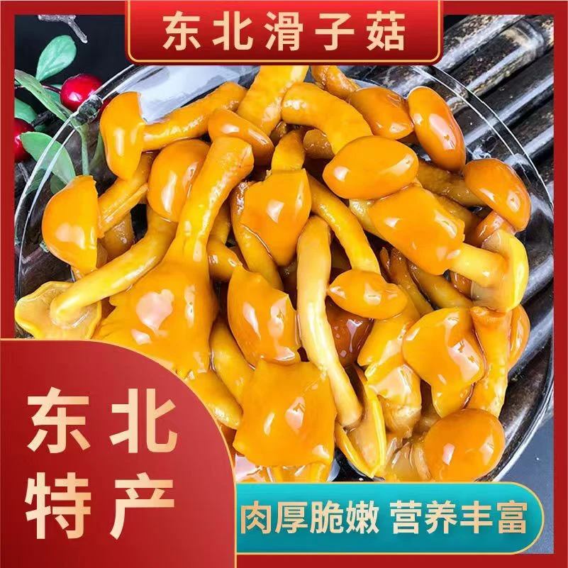 到手两袋东北滑子蘑新鲜干净山野菜野生菌蘑菇东北山货肉厚嫩滑