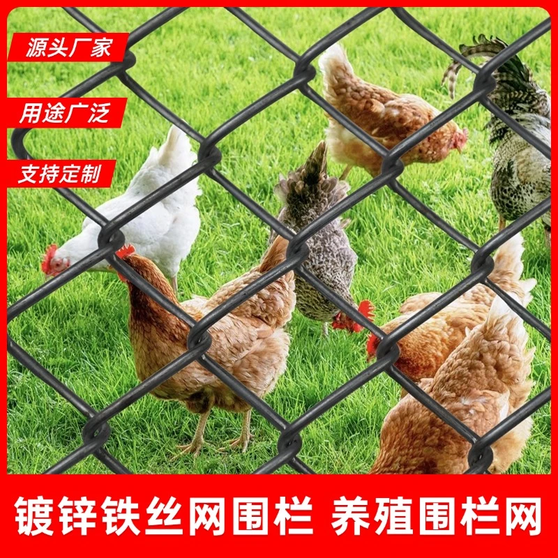 一诺 1.2铁丝勾花网 养殖鸡鸭围栏网 圈山圈地果园隔离网 菱形网