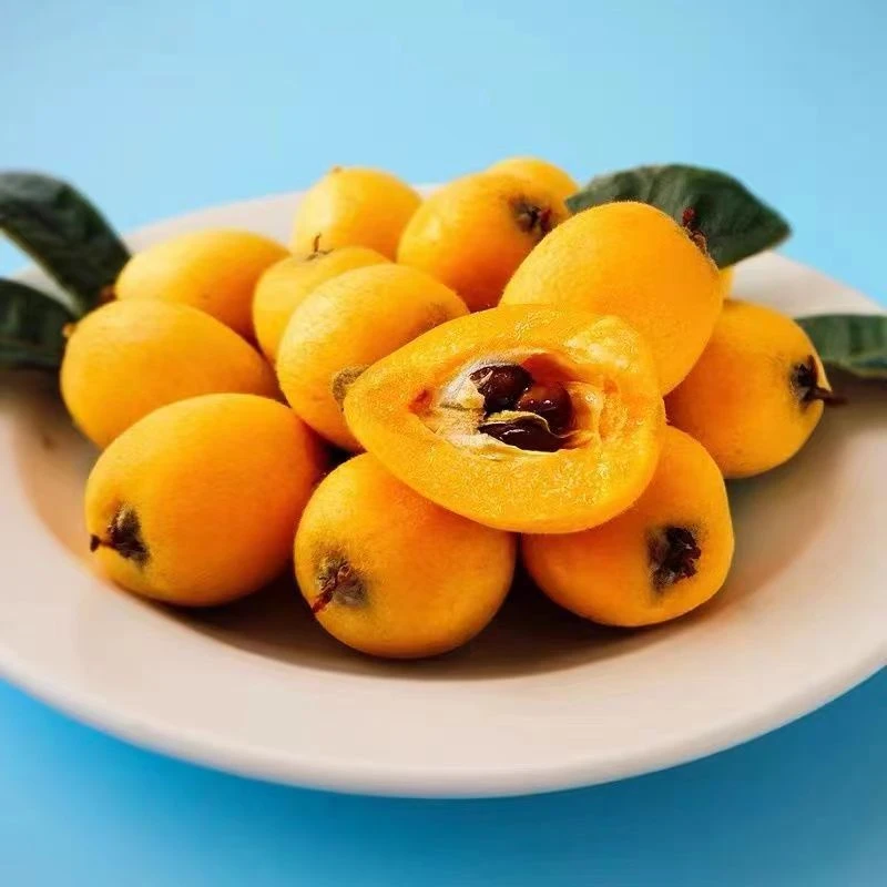 云南蒙自高山大枇杷装孕妇小孩肉质新甜枇杷果