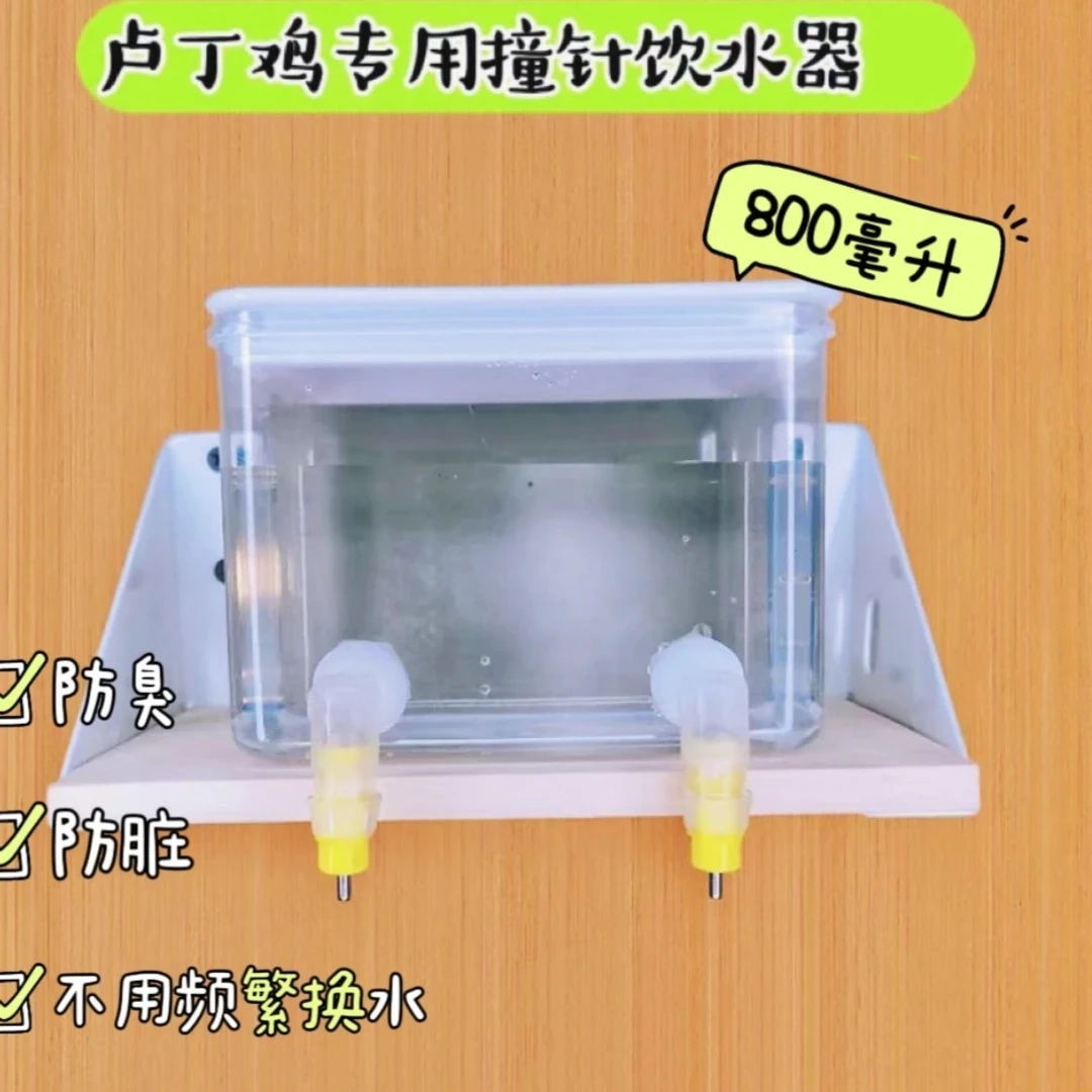 芦丁鸡专用撞针喂水器防臭防变质撞针饮水