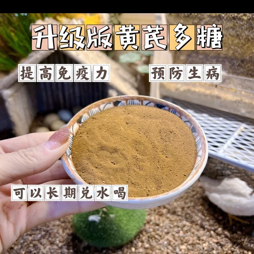 【馆长专享】芦丁鸡希尔赛拉玛黄芪多糖粉真黄芪禽畜可用提高抵抗力