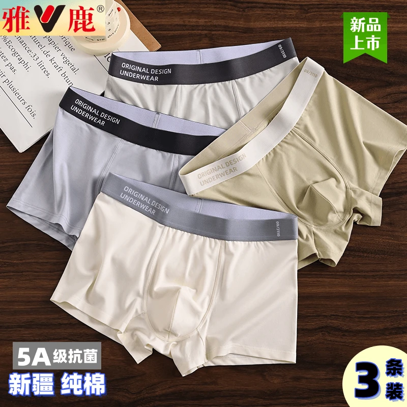 雅鹿内裤男款新疆棉抗菌四角裤衩棉男士青年平角裤男生裤头青少年