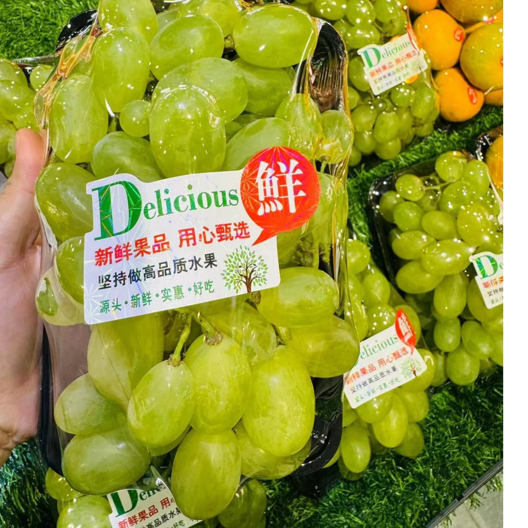 青提 6.99/盒 500克左右