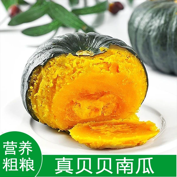正宗板栗味贝贝南瓜新鲜婴儿宝宝辅食小老南瓜蔬菜粉糯香甜装