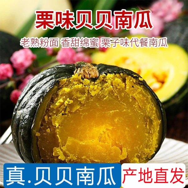 贝贝南瓜正宗板栗味小南瓜栗面日本老瓜婴儿辅食孕妇粉糯香甜