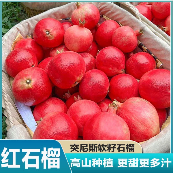正宗会理突尼斯软籽石榴水果新鲜当季整箱装1/10红石榴甜薄皮