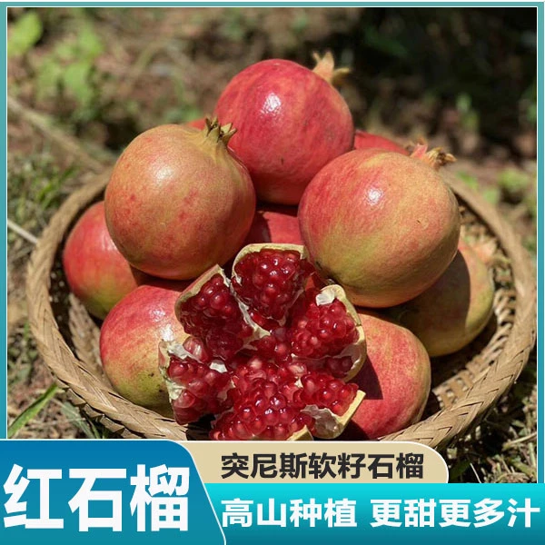 四川会理突尼斯软籽甜石榴特大果无籽新鲜当季红石榴孕妇水果批发