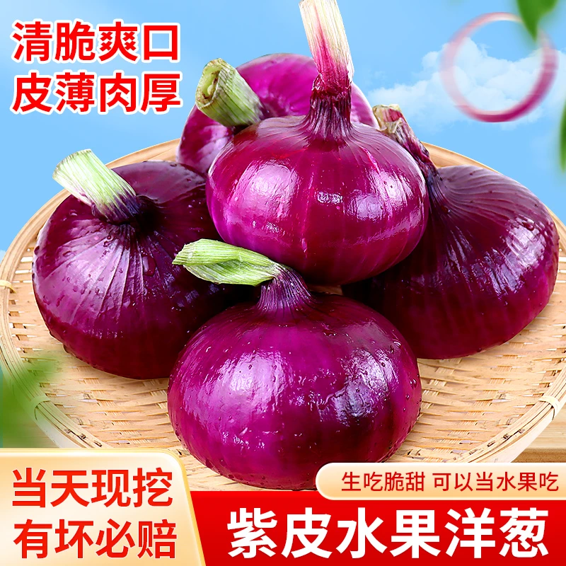 2024年山东正宗精选紫皮洋葱水果洋葱新鲜皮薄肉厚凉拌圆葱3斤5斤