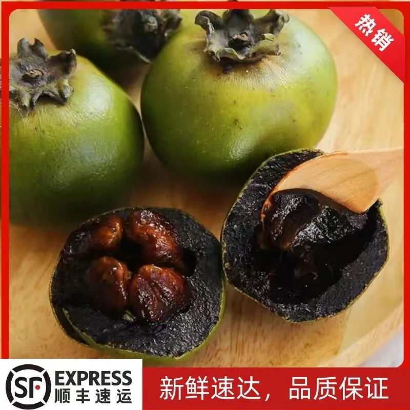 【顺丰包邮】巧克力布丁果，树上纯天然巧克力果，高端稀有水果