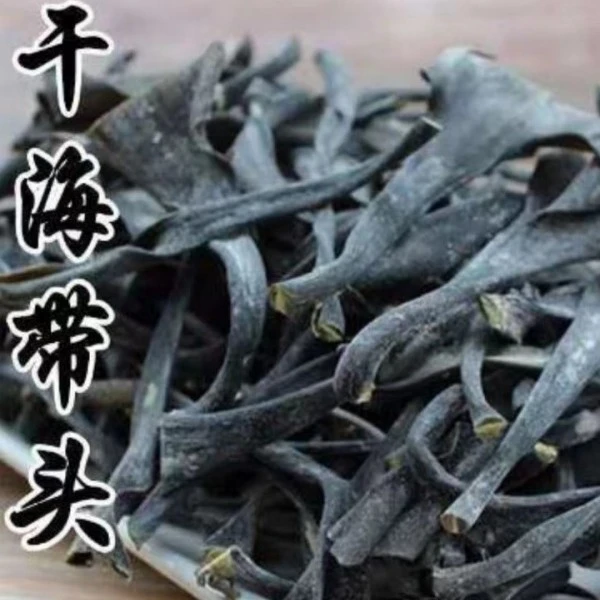 福建霞浦特产级海带头干货厚实软糯海带根特厚海带梗新货海带丝结