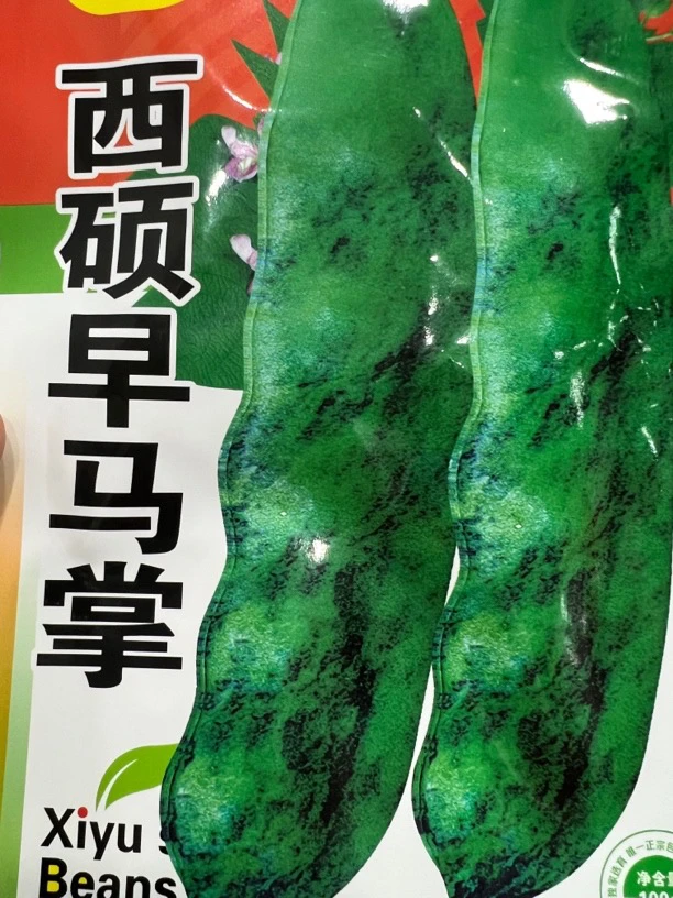 发2袋 西硕早马掌豆角种子