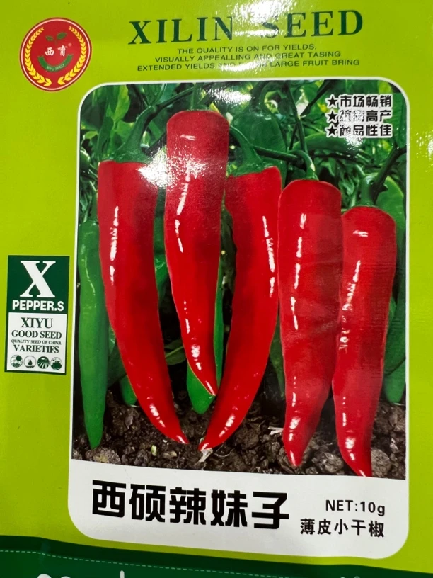 西育杂交辣妹子辣椒种子