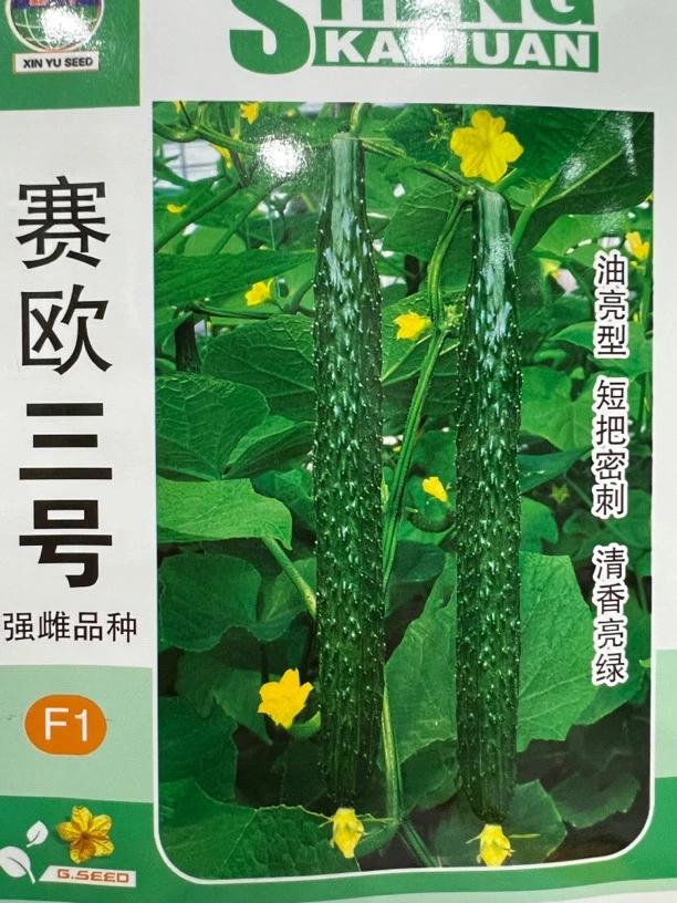 赛欧3号水黄瓜杂交种子