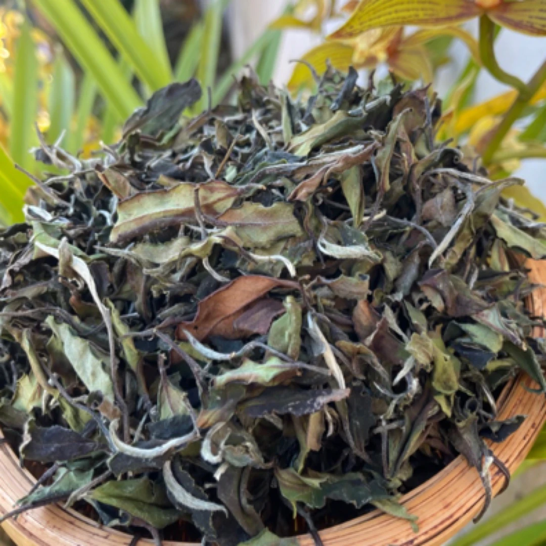 茗世推荐-2024云南腾冲高黎贡山，寒露花妖白茶～似花，似蜜，似果香