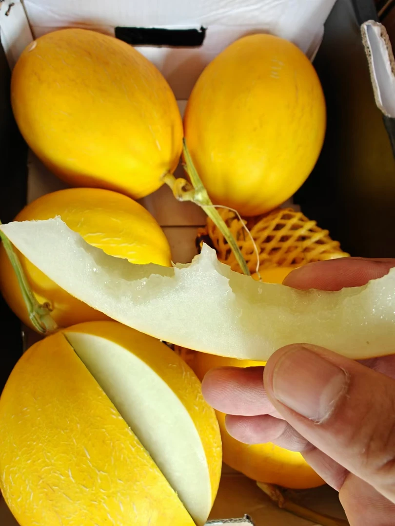 王品蜜瓜（2斤左右/个）