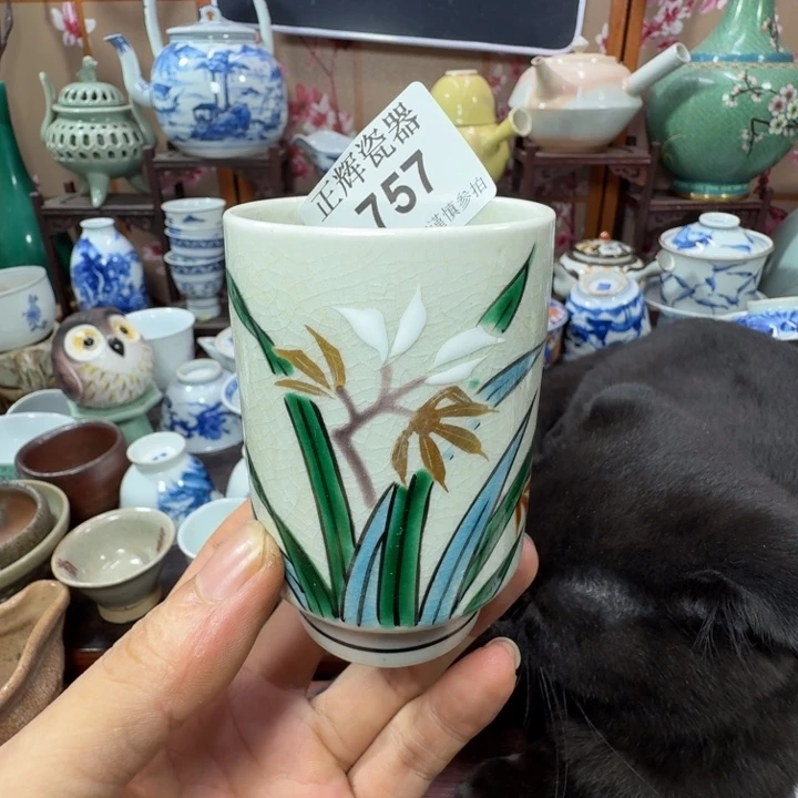碟757啊啊啊啊啊啊啊啊啊啊啊啊