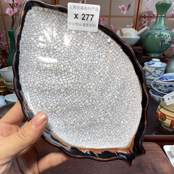 碟277啊啊啊啊啊啊啊啊啊啊啊啊
