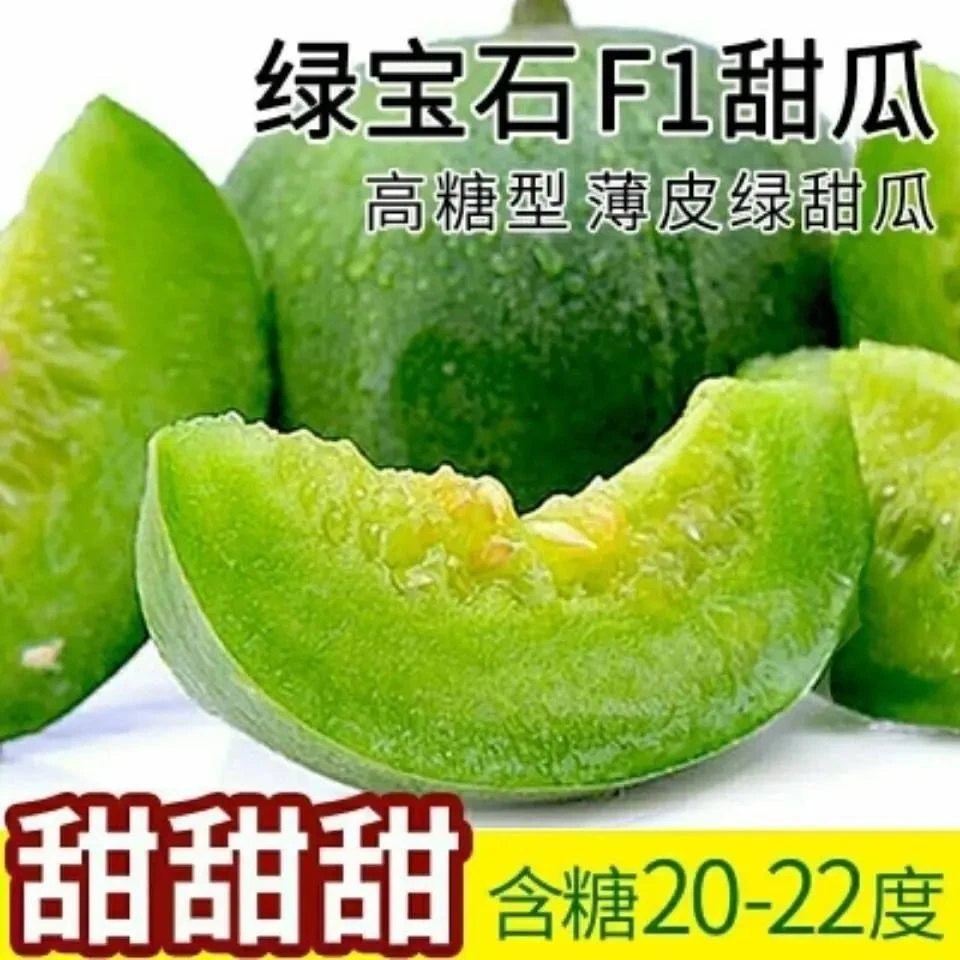 绿宝石甜瓜种子薄皮超甜香瓜种子春季四季脆瓜早熟香蔬果种子
