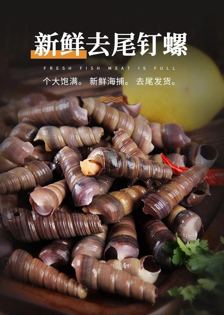 鲜活大钉螺（剪尾发货）3斤装今日下单加送1斤赠送调料