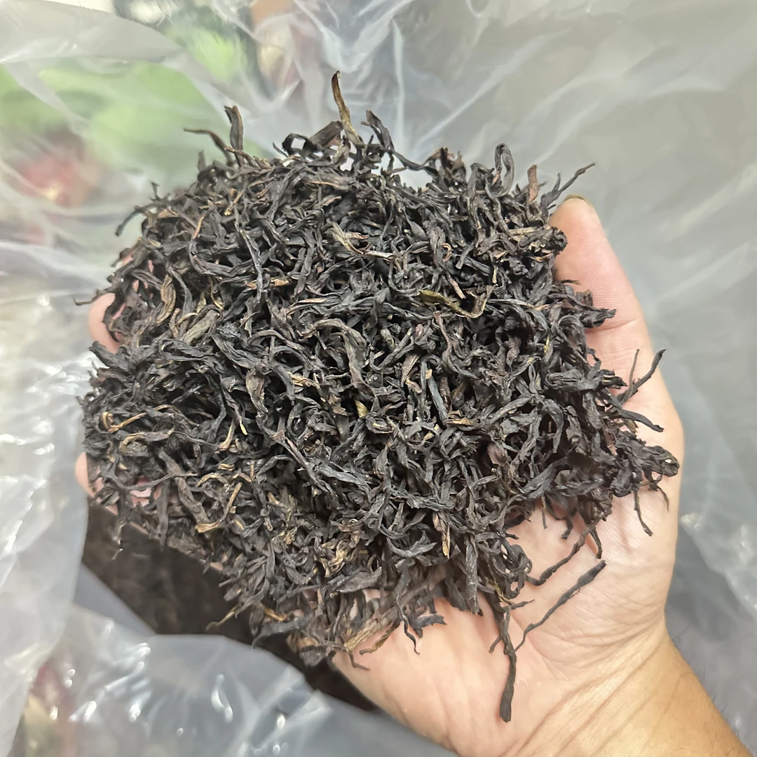 凤凰夜来香高山乌岽山脉单枞茶