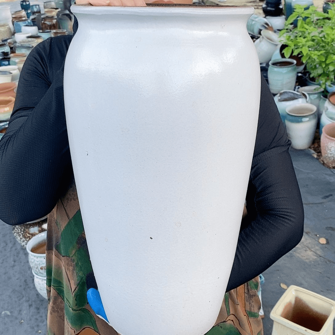 红陶20CM（含）-50CM（不含）口20高42