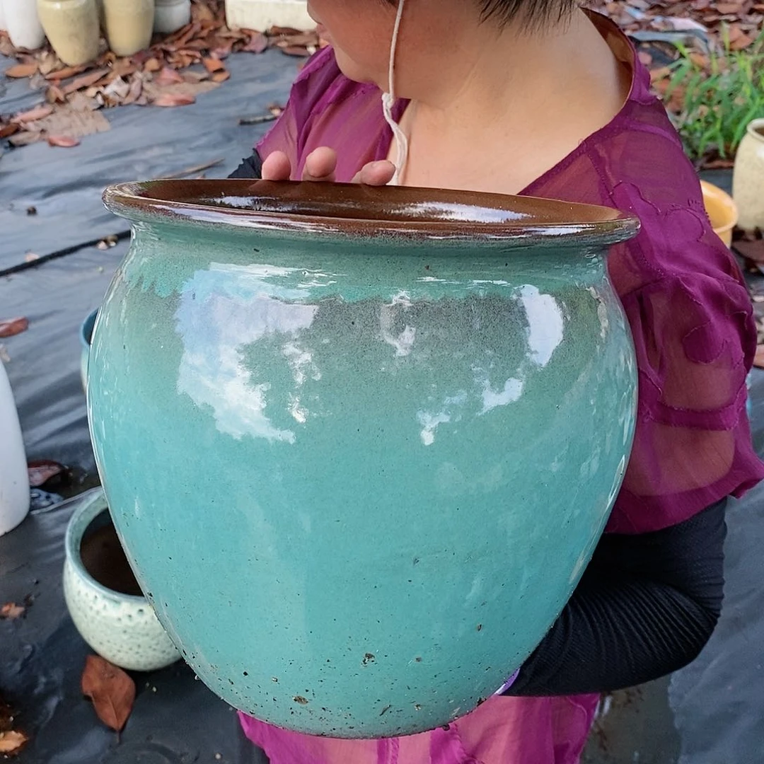 红陶20CM（含）-50CM（不含）口24高24