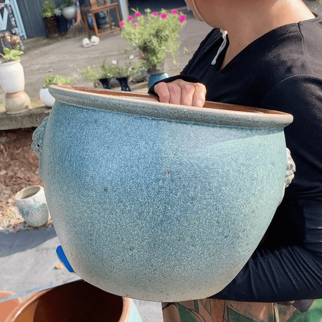 红陶20CM（含）-50CM（不含）口28高22水培