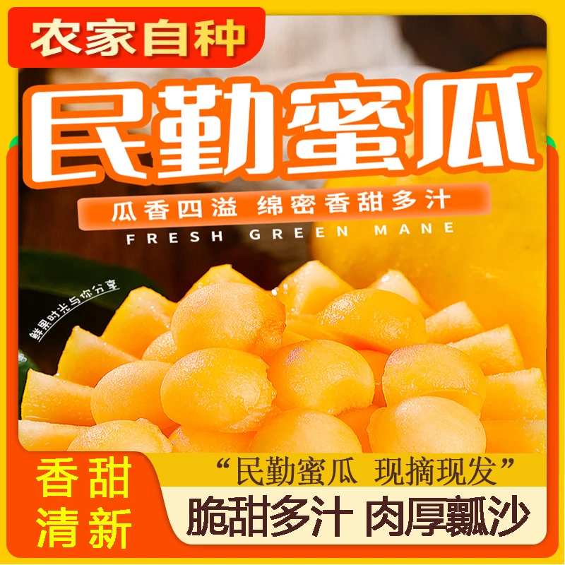 【丝路风情】沙漠民勤蜜瓜冰糖香瓜新鲜当季水果现摘现发多仓发货