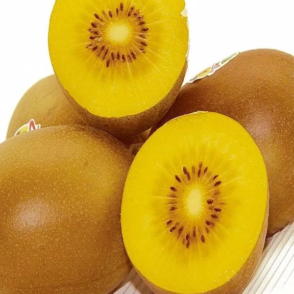 新西兰佳沛金果6个