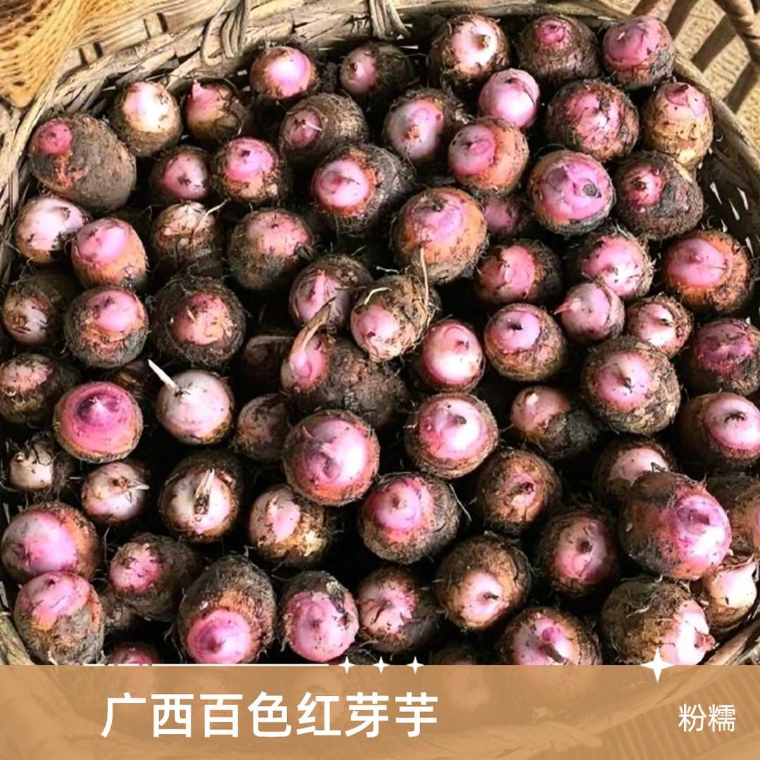 广西百色红芽芋小芋头营养天然时令原产地新鲜发货当季红芽芋头包
