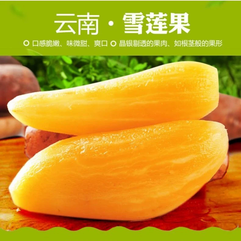 A云南天山雪莲果3/5/9斤应季水果生鲜产地现挖现发脆爽直供清甜