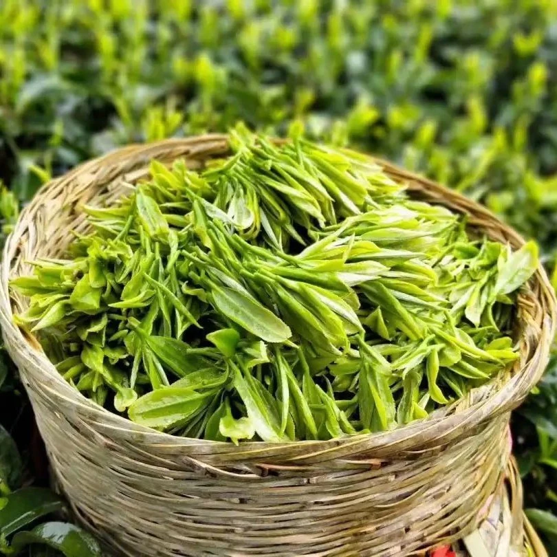 婺源绿茶，小山头仙枝，鲜爽回甘，口齿生香，原味好茶