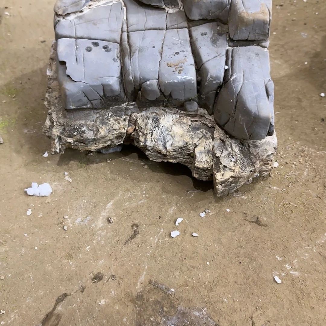 【闪购商品】香榧木君****）在一起了的感觉真的很喜欢