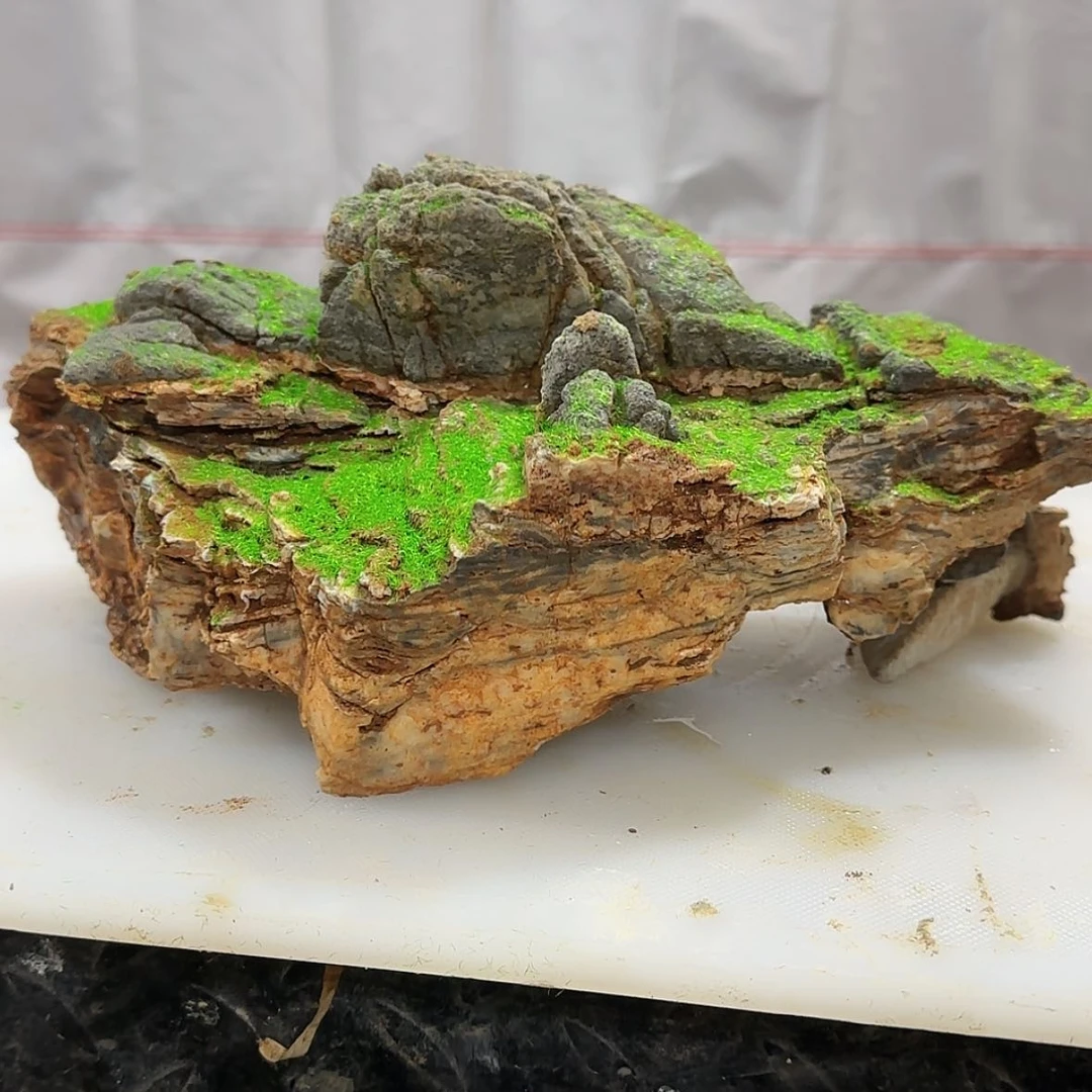 【闪购商品】石头石膏制品