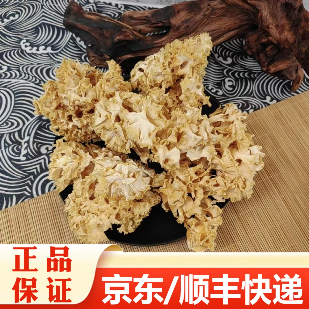 【精选】绣球菌干货