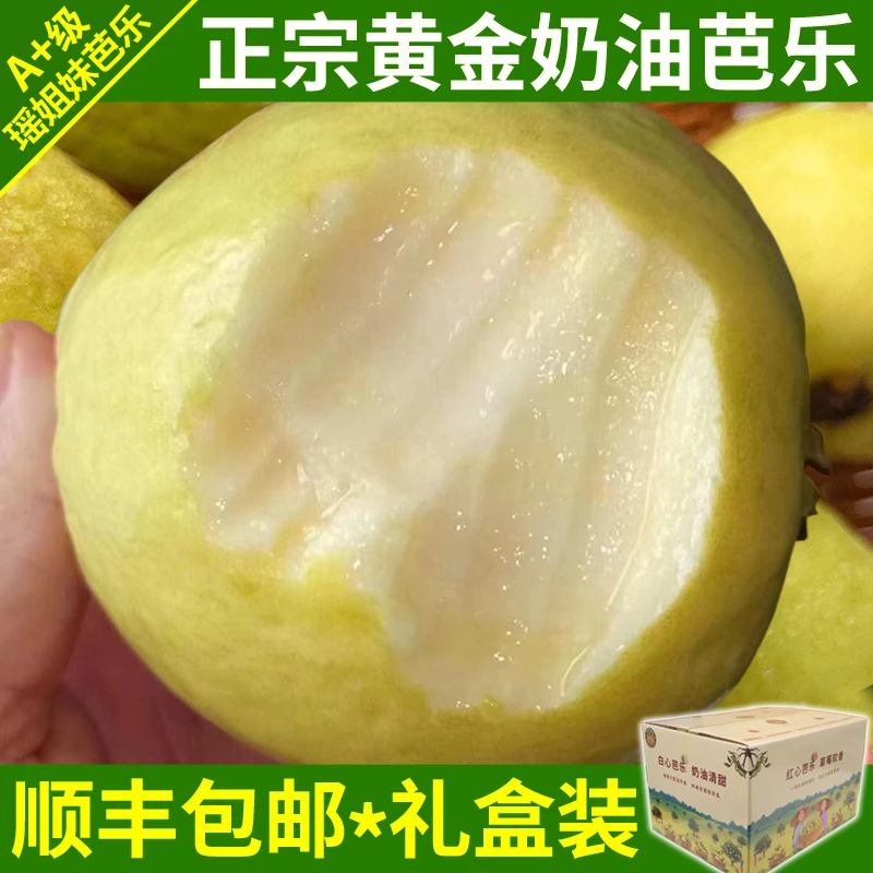 【顺丰包邮】纯甜黄金奶油软芭乐新鲜现摘番石榴孕妇高维C当季水果5