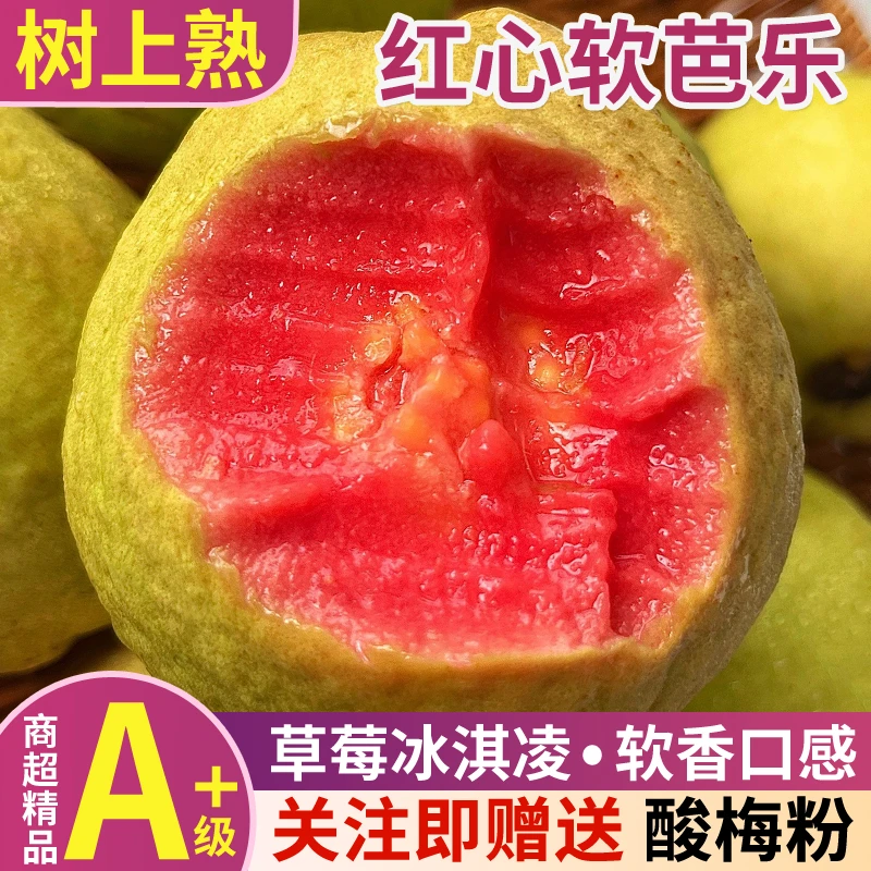 广西草莓冰淇淋味软芭乐老树大果孕妇应季水果新鲜番石榴3/5斤