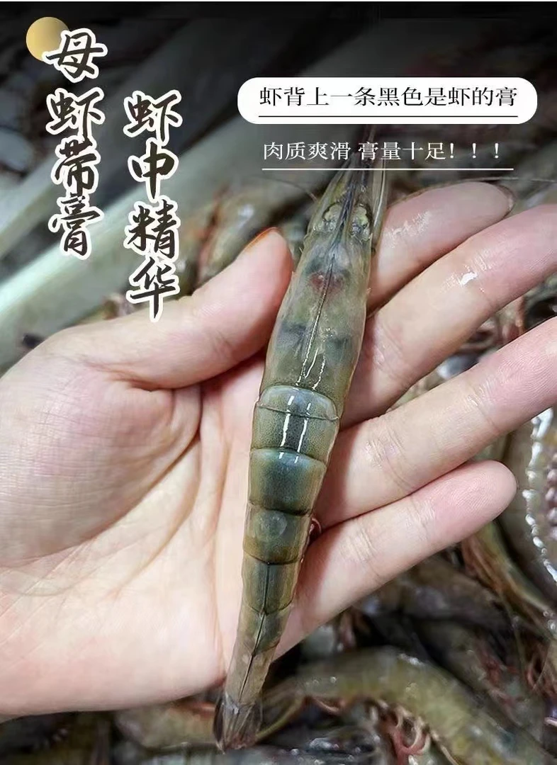【东海野生滑皮虾】深海青壳大虾3斤礼盒装【鱼童刺生专属链接】