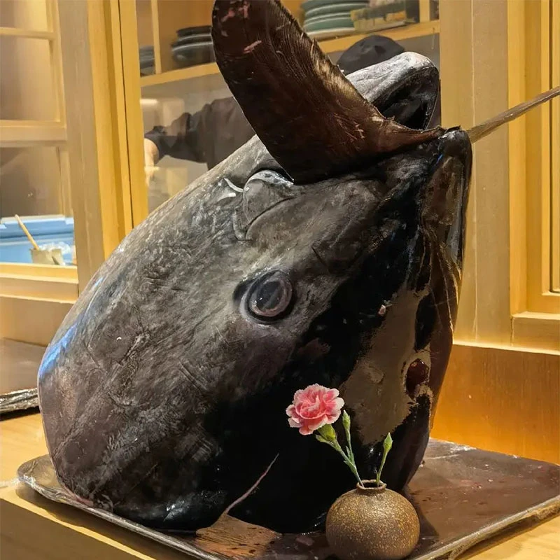 蓝鳍金枪鱼头（半个3斤以上）远洋海钓顺丰