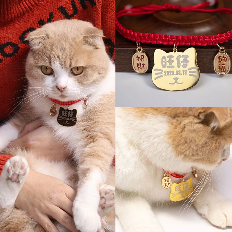 猫牌定制猫咪项圈刻字防丢失挂牌猫名牌项链铃铛宠物吊牌脖子饰品