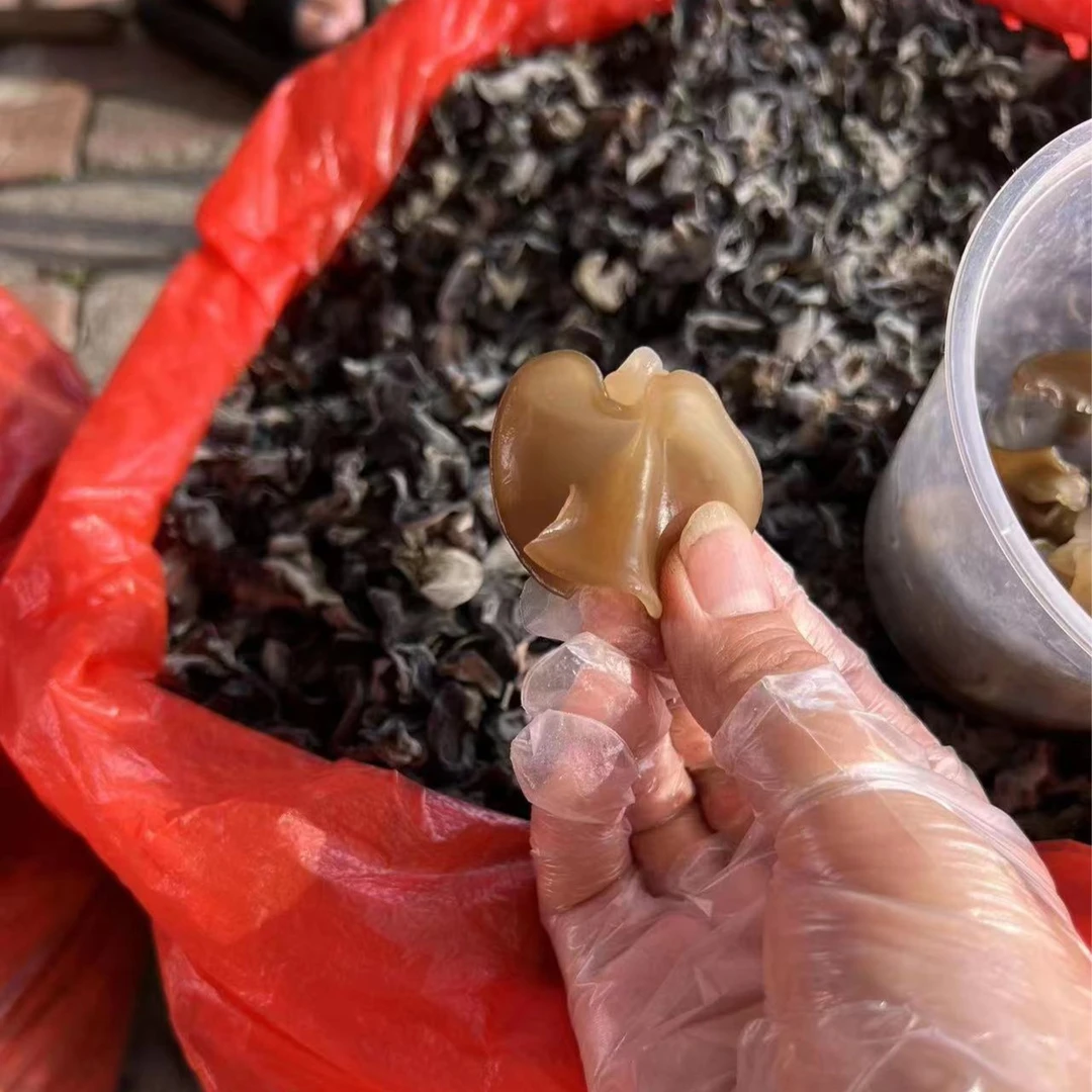 长白山   黑木耳   500克