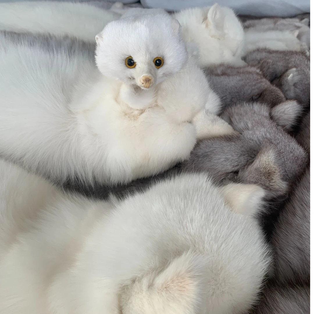 整张水貂围脖围巾冬季必备女士时尚保暖宝宝百搭儿童网红