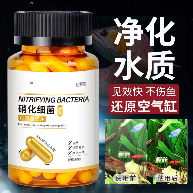 胶囊鱼缸鱼缸过滤浓缩净水剂水质消化观赏鱼用品鱼缸鱼缸过滤清理