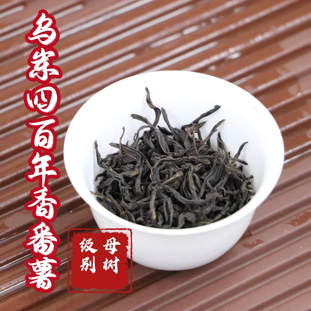 魏氏名从[母树]香番薯二代 四百五十年古树乌岽单丛茶春季茶叶
