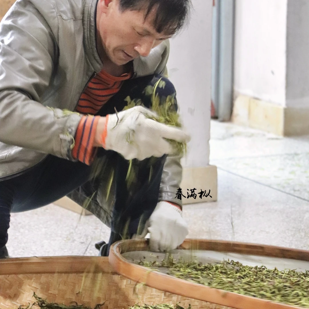 乌岽老丛狮头蜜兰 2025年乌岽单丛茶蜜香甜香 凤凰单枞茶