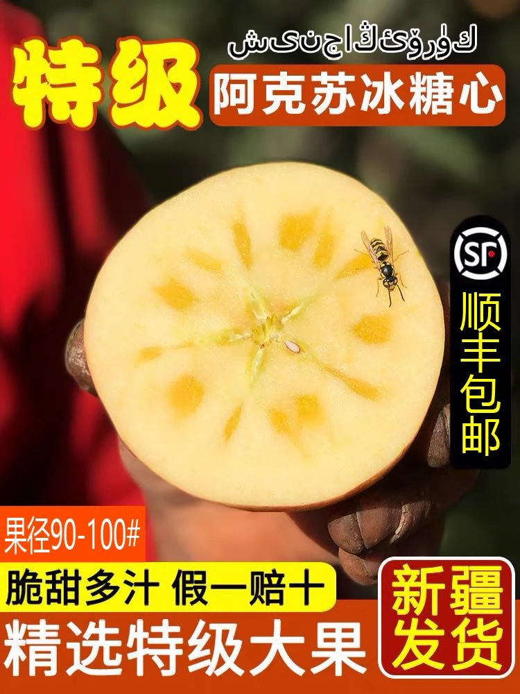 正宗阿克苏冰糖心苹果95以上果王净重10斤礼盒泡沫箱装脆甜可口